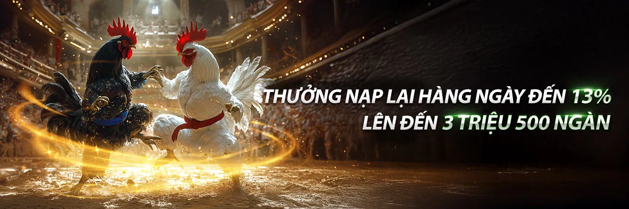 Đá gà trực tuyến kịch tính tại tải qq98 2026